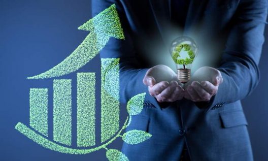 700x420_ecologia-verde-renovables-medio-ambiente-dreams