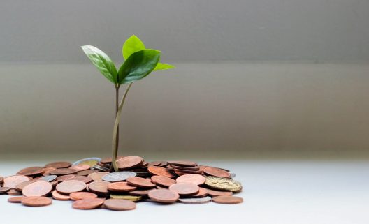 Foto-de-Visual-Stories-Micheile-para-Unsplash-1282x780-1