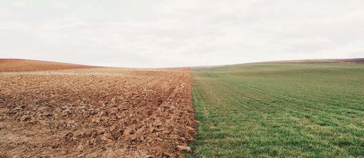 elizabeth-lies-YbgPWfWlvkE-unsplash