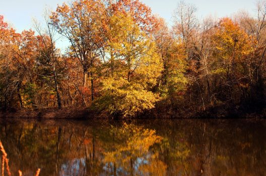 waldon-pond-3837874_1920
