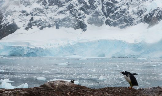 antarctica-2680627_1920