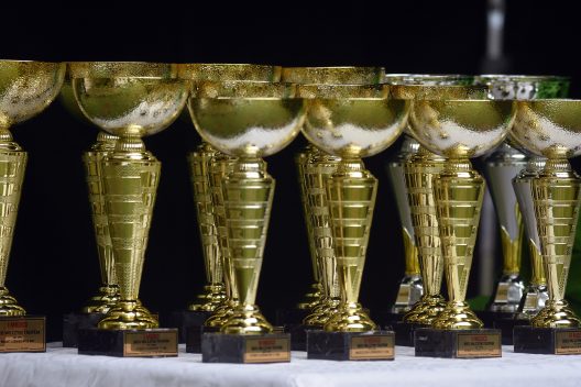 award-cup-g0eee0d480_1920