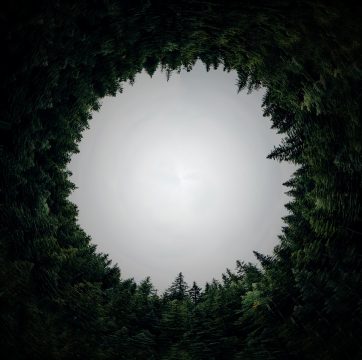 circular-3002865_1920