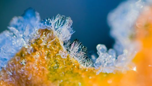 frost-6702335_1920