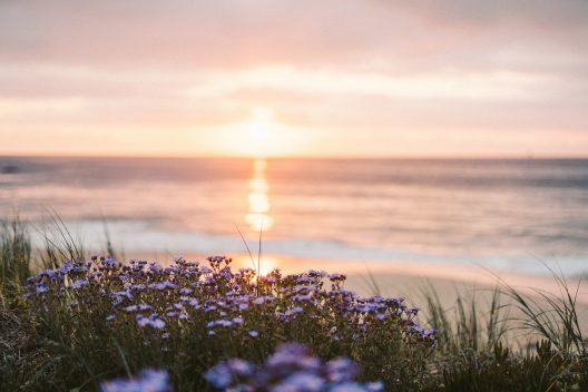 nature-6723133_1920