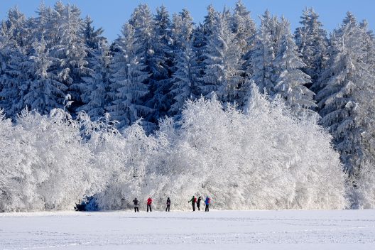 winter-6762640_1920
