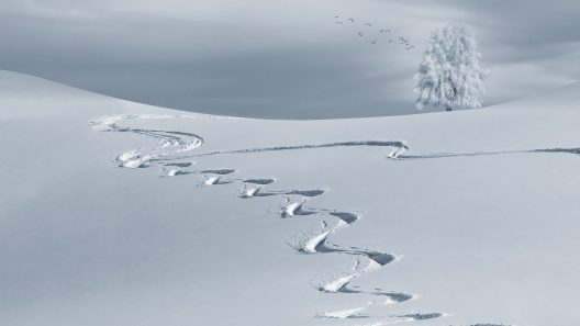 wintry-2068298_1920