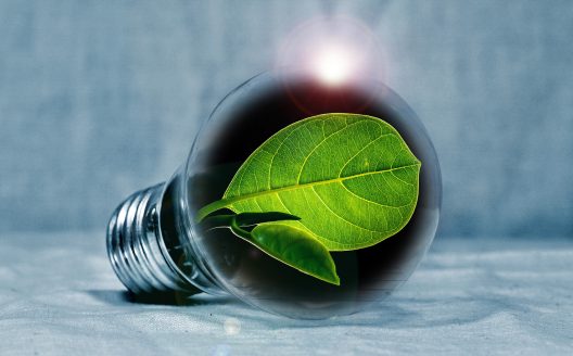lightbulb-2631864_1920