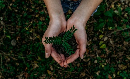 noah-buscher-x8ZStukS2PM-unsplash-1282x780-1