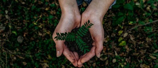 noah-buscher-x8ZStukS2PM-unsplash