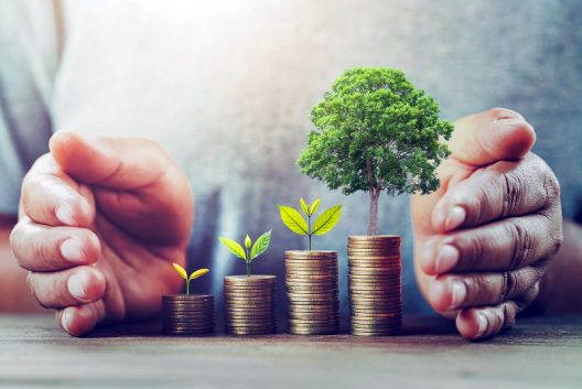 sostenible-ESG-medio-ambiente