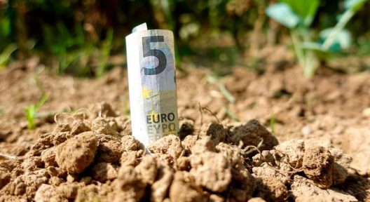 Billete-770-istock