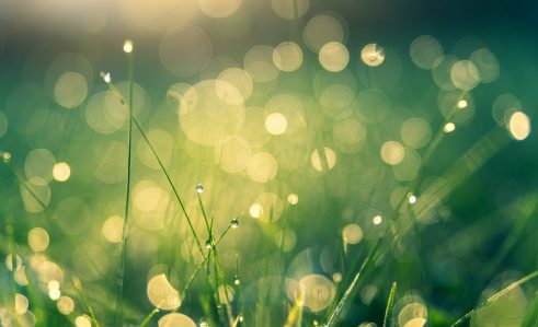Foto-de-Johannes-Plenio-para-Unsplash-1282x780-1