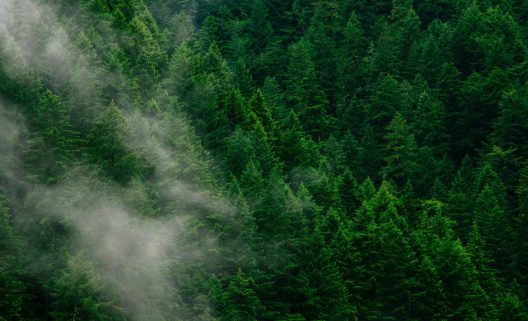 andrew-coelho-aL7SA1ASVdQ-unsplash-1282x780-1