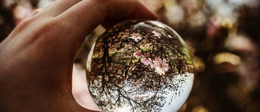 hannah-jacobson-pTfdcT0hxGc-unsplash-1