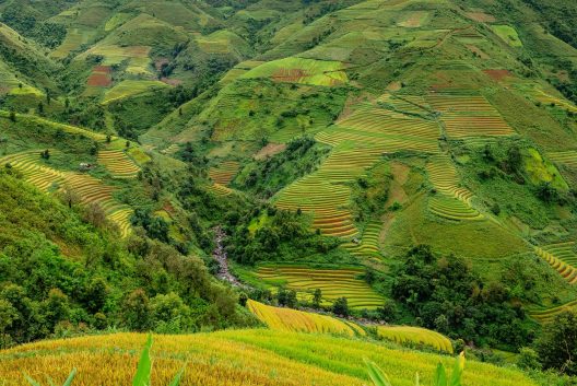 terraces-5568679_1920
