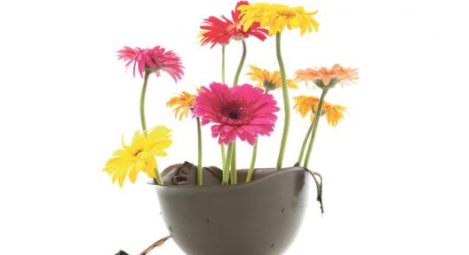 flores-casco-770-istock
