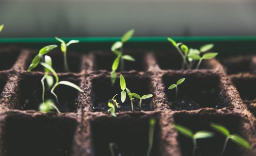 markus-spiske-vrbZVyX2k4I-unsplash-1282x780-1