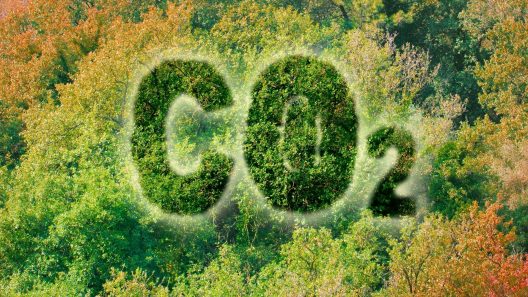 co2