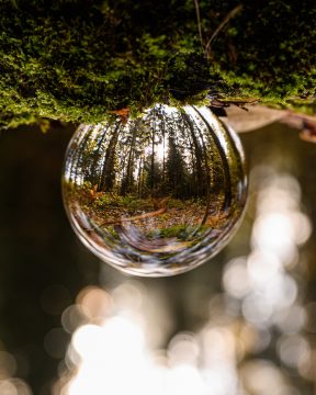 glass-ball-4556170_1920