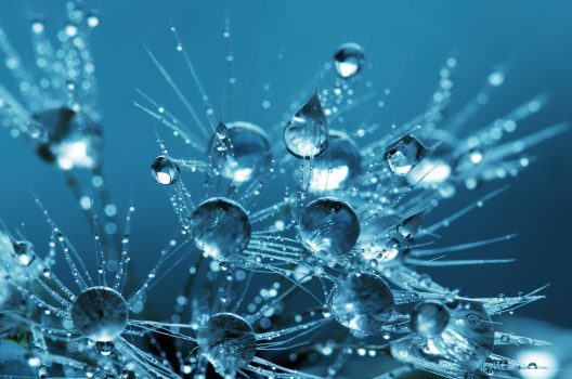 water-839590_1920-528x350-1