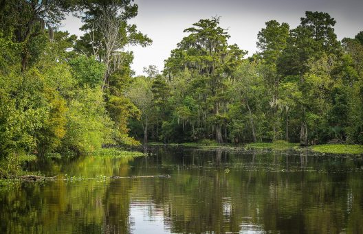 bayou-439881_1920