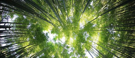 kazuend-unsplash-1