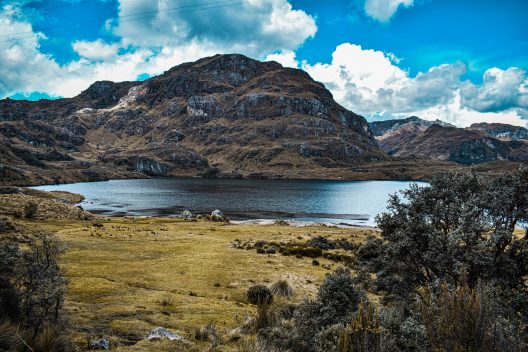 naturaleza-5075023_1920