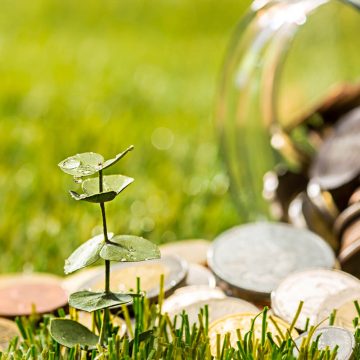 plant_growing_in_coins_glass_jar_for_money_on_green_grass__master1305_freepik_peque_