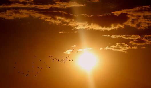 sunset-1625073_1920