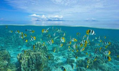 700x420_oceano-1200-iStock-1073963404