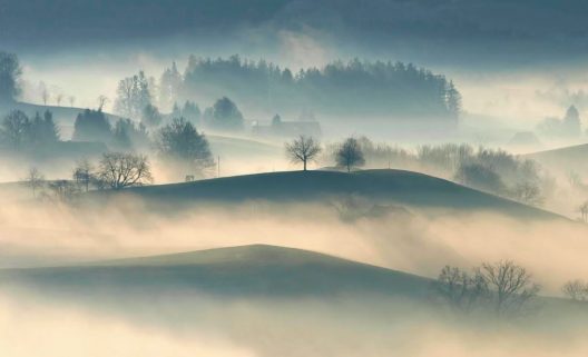 Ricardo-Gomez-Angel-Fog-Forest