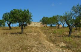 dirt-road-269496_1920
