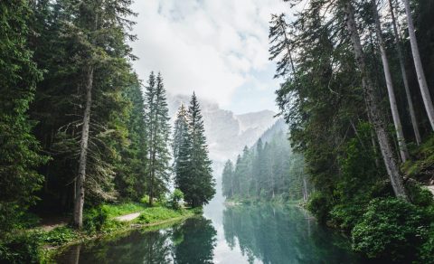 Foto-de-Luca-Bravo-para-Unsplash-1282x780-1