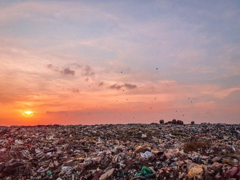 trash-4897847_1920