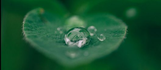 verde-esg-asg-sostenibilidad-agua-hidrogeno-isr-4