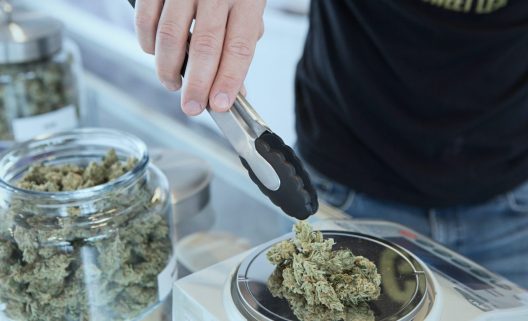 Foto-de-Add-Weed-para-Unsplash-1282x780-1