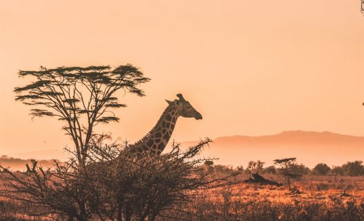 Foto-de-Harshil-Gudka-para-Unsplash-1282x780-1