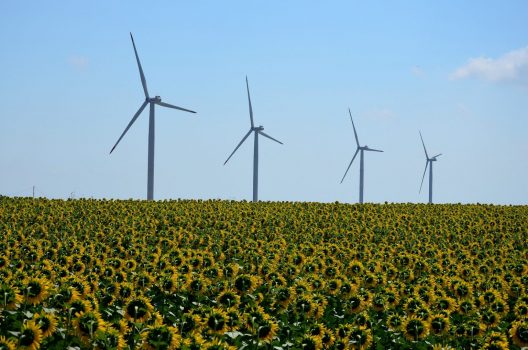 windmill-3080496_1920-1536x1017-1