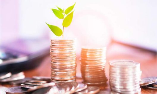 700x420_Verde-dinero-istock-1200