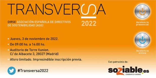 DIRSE_BANNER_1024x512_TRANSVERSA-768x384