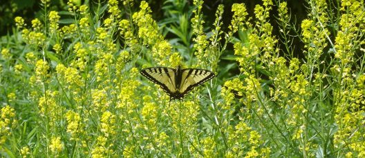 christine-depetrillo-_9b9oPhL8Tw-unsplash