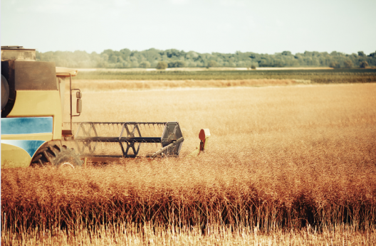 ODS-agricultura