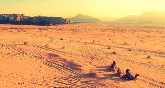 camels-1839218_1920