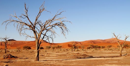desert-1305049_1920