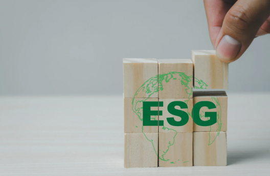 estudio-esg