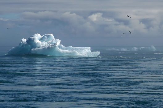 iceberg-6779681_1920-3
