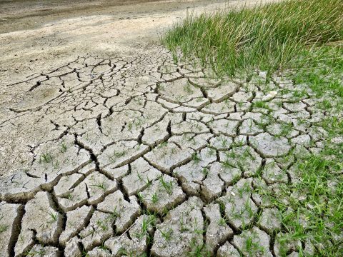 climate-change-2241061_1920
