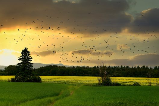 countryside-gf613caa60_1920