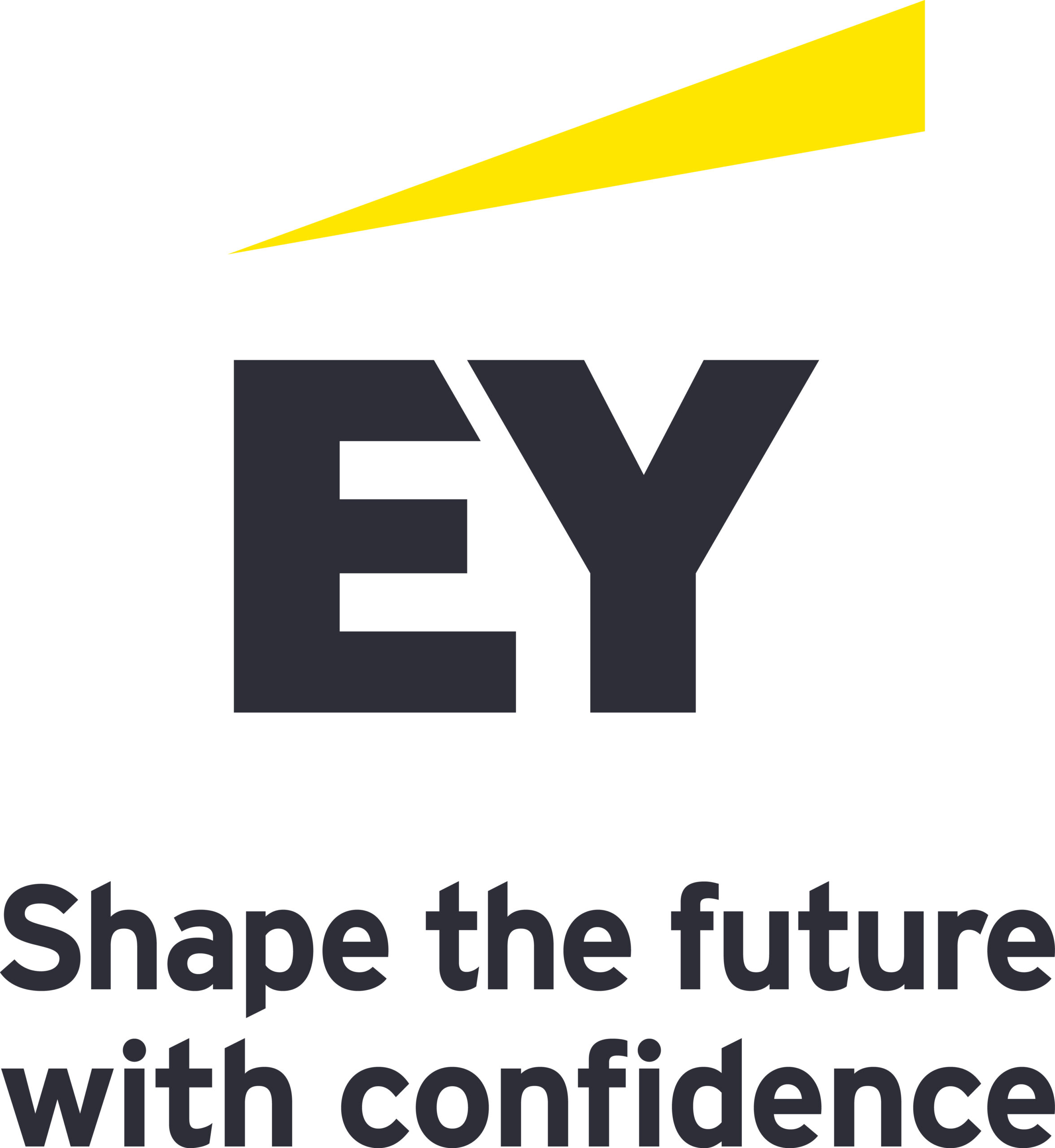 Ernst & Young, S.L.